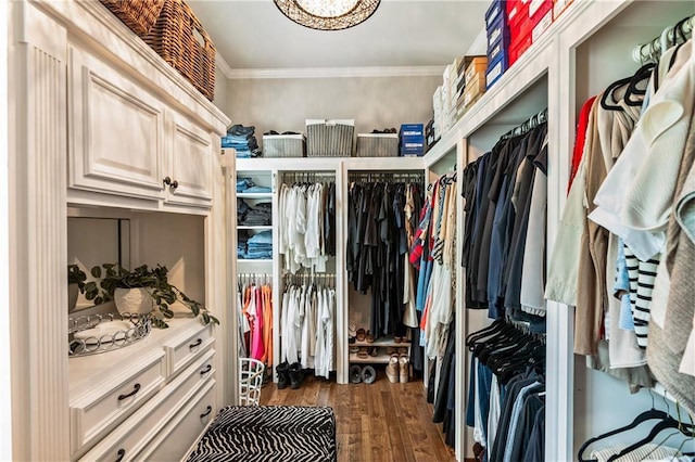15595 Birmingham Hwy, Alpharetta, GA 30004 - walk in closet with dark wood-style flooring