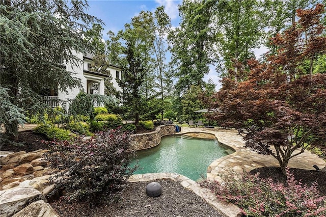 15595 Birmingham Hwy, Alpharetta, GA 30004 - swimming pool with a patio area
