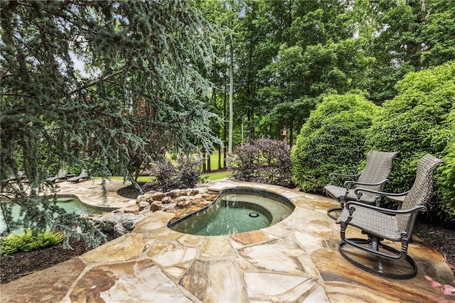15595 Birmingham Hwy, Alpharetta, GA 30004 - view of swimming pool featuring a patio and an in-ground hot tub
