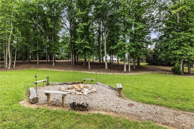 15595 Birmingham Hwy, Alpharetta, GA 30004 - view of green lawn