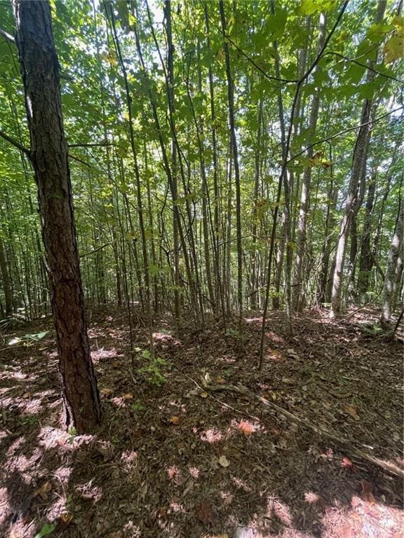 Listing photo 3 for N/A Rainwater Trail, Tiger GA 30576