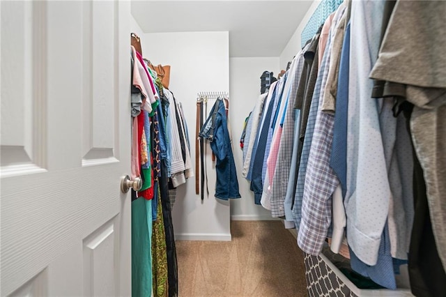1560 Avalon Creek Rd, Sugar Hill, GA 30518 - walk in closet featuring carpet