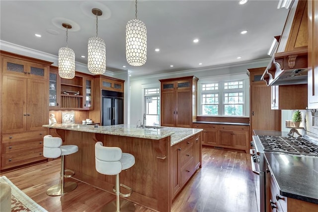 kitchen featuring dark stone countertops, dark wood-type flooring, an island with sink, premium appliances, and decorative light fixtures