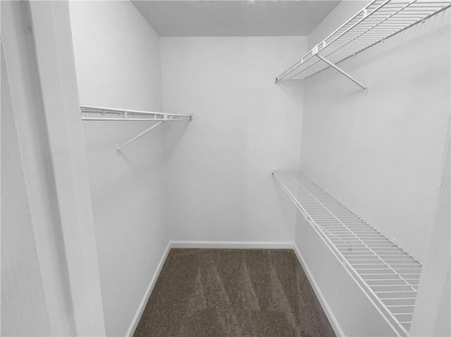 spacious closet with dark carpet