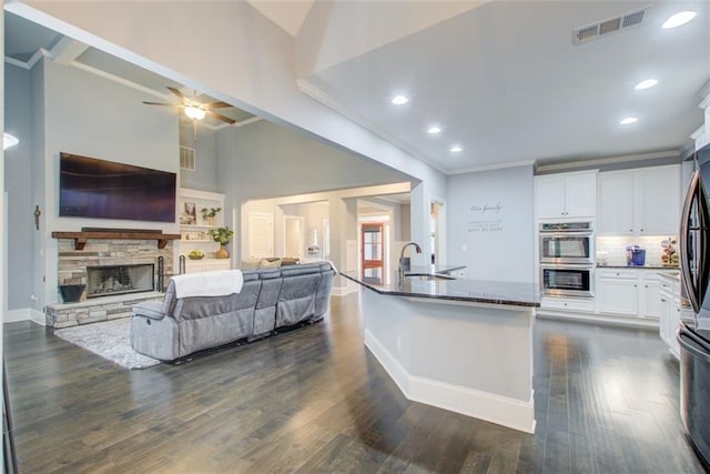 401 Night Hawk Ct, Canton, GA 30114 - kitchen featuring open floor plan, appliances with stainless steel finishes, ceiling fan, a sink, and white cabinets