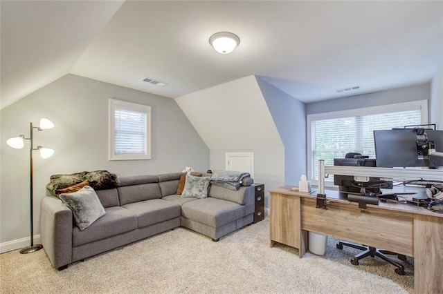 401 Night Hawk Ct, Canton, GA 30114 - office space featuring light carpet, lofted ceiling, healthy amount of natural light, and baseboards