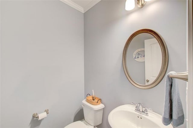 401 Night Hawk Ct, Canton, GA 30114 - bathroom with a sink, ornamental molding, and toilet
