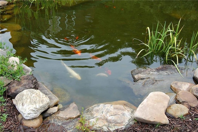 30C River Forest Pl, Suches, GA 30572 - exterior view of a small pond