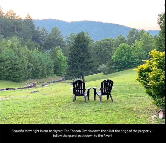30C River Forest Pl, Suches, GA 30572 - surrounding community with a yard, a mountain view, and a view of trees
