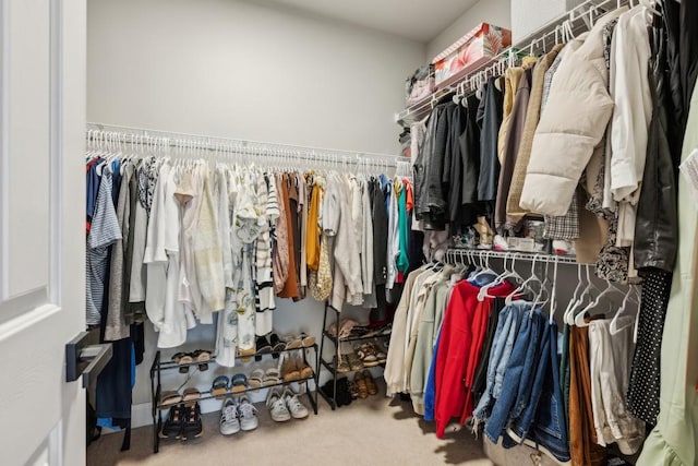 spacious closet featuring carpet flooring