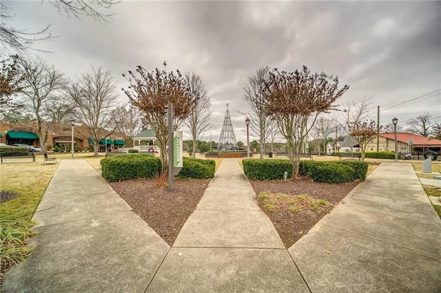 1104 Thomas St, Woodstock, GA 30188 - view of home's community