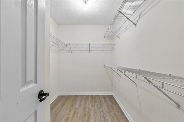 walk in closet featuring wood-type flooring