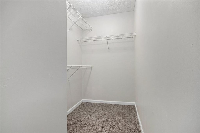 104 Terrapin Ct, Carrollton, GA 30116 - walk in closet featuring carpet
