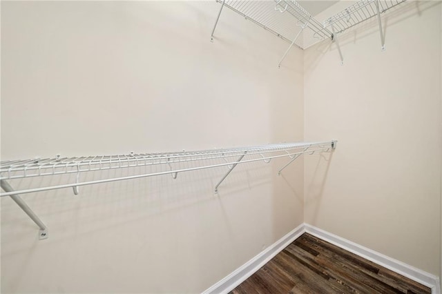 spacious closet featuring wood-type flooring