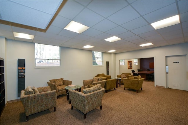 carpeted living room featuring a drop ceiling