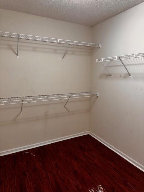 spacious closet featuring wood finished floors