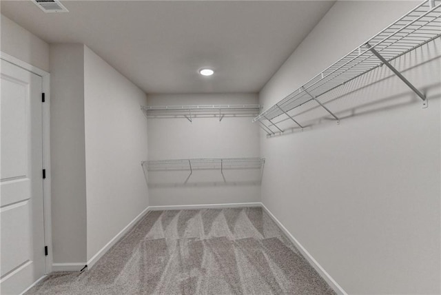 walk in closet featuring carpet floors