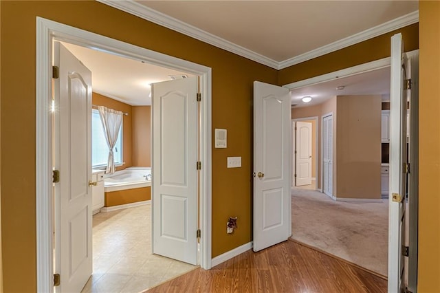 corridor featuring light wood finished floors, baseboards, visible vents, and ornamental molding