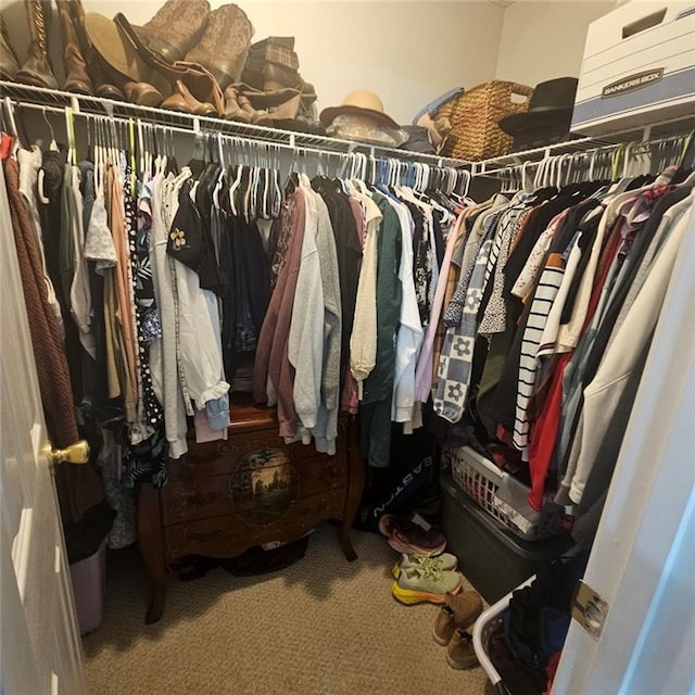 spacious closet featuring carpet