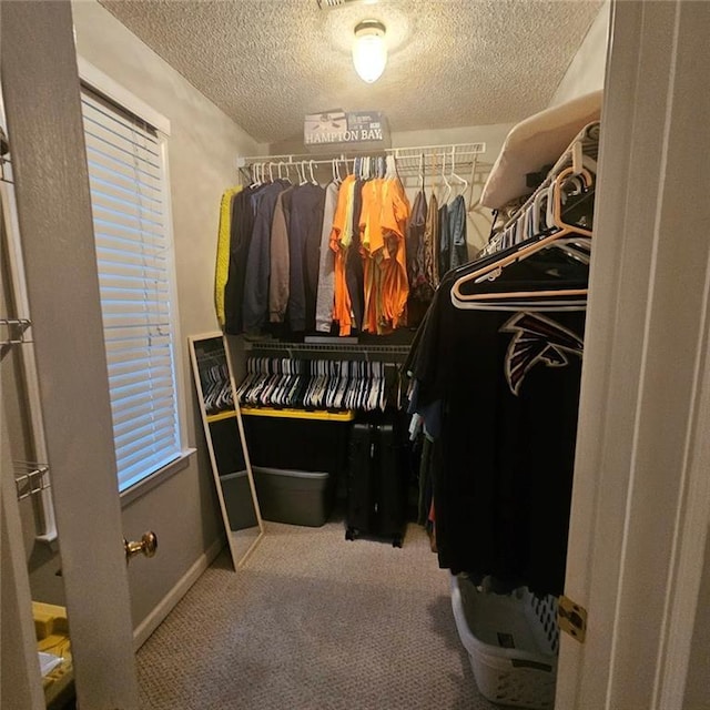 spacious closet with carpet