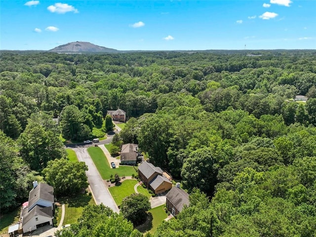 4875 Rivercliff Trce SW, Lilburn, GA 30047 - bird's eye view of a heavily wooded area and a mountain backdrop