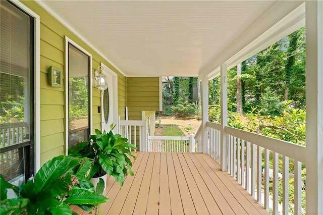 592 Ferry Creek Ct, Acworth, GA 30102 - view of porch
