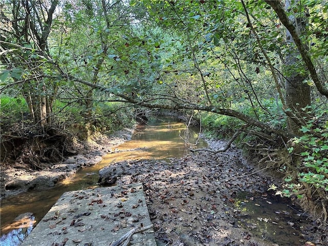 view of local wilderness