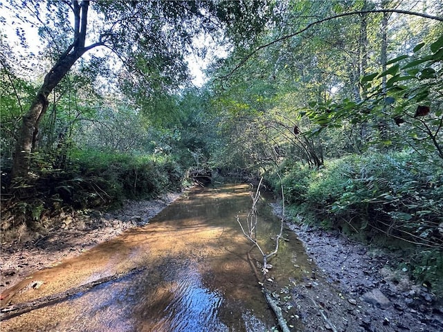 view of local wilderness