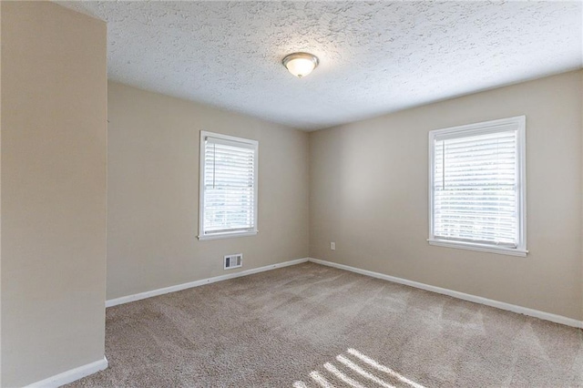 carpeted empty room featuring a wealth of natural light and a textured ceiling