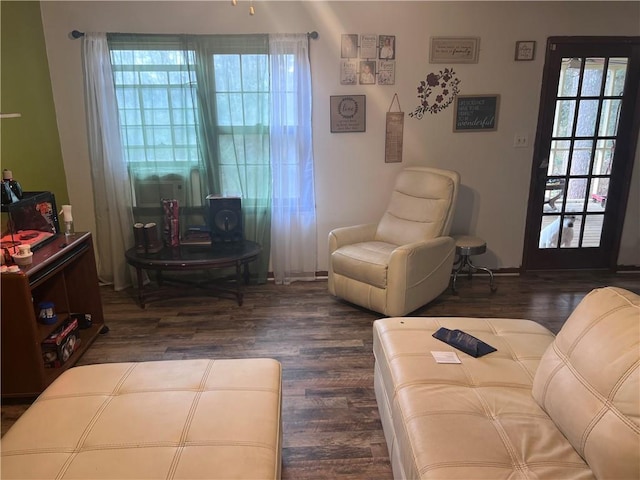 living room featuring dark hardwood / wood-style floors