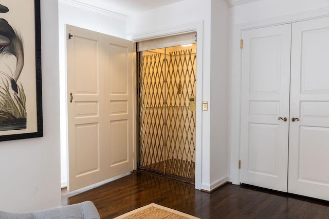 entrance foyer with dark wood-type flooring and crown molding