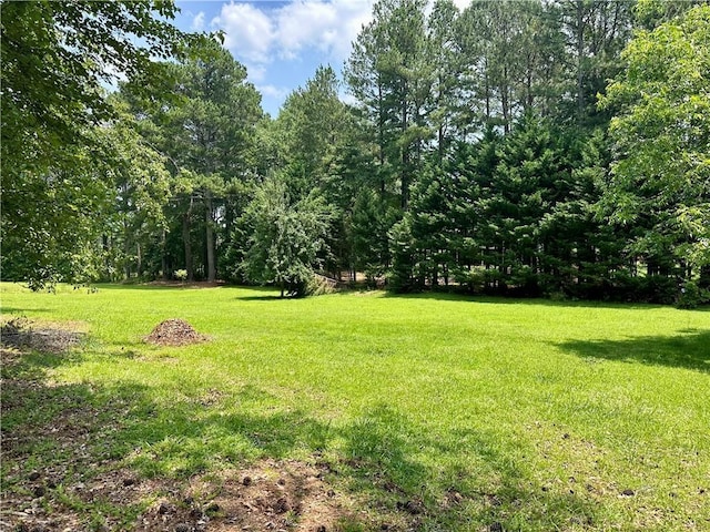 115 Cannongate Cir, Sharpsburg, GA 30277 - view of grassy yard