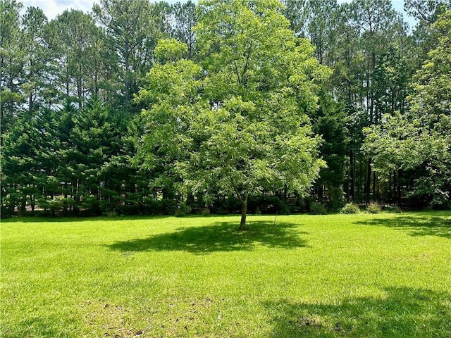 115 Cannongate Cir, Sharpsburg, GA 30277 - view of green lawn