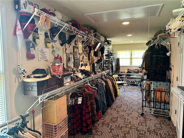 115 Cannongate Cir, Sharpsburg, GA 30277 - walk in closet with attic access and carpet floors