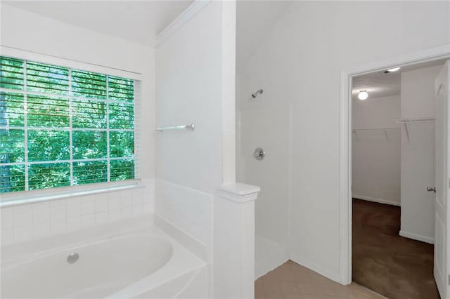 11354 Conner Ct, Hampton, GA 30228 - bathroom featuring a bath, a walk in shower, and a spacious closet