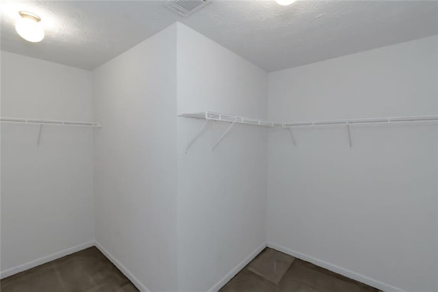 11354 Conner Ct, Hampton, GA 30228 - view of spacious closet