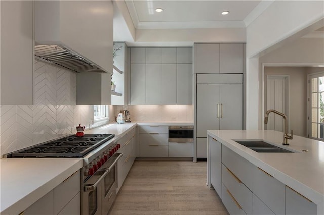 kitchen with a sink, ventilation hood, modern cabinets, and high quality appliances