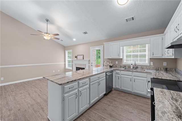 356 Chardonnay Trce, Braselton, GA 30517 - kitchen with stainless steel appliances, a peninsula, ceiling fan, light wood-style flooring, and vaulted ceiling