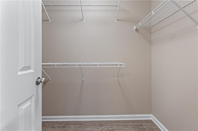 356 Chardonnay Trce, Braselton, GA 30517 - walk in closet with wood finished floors