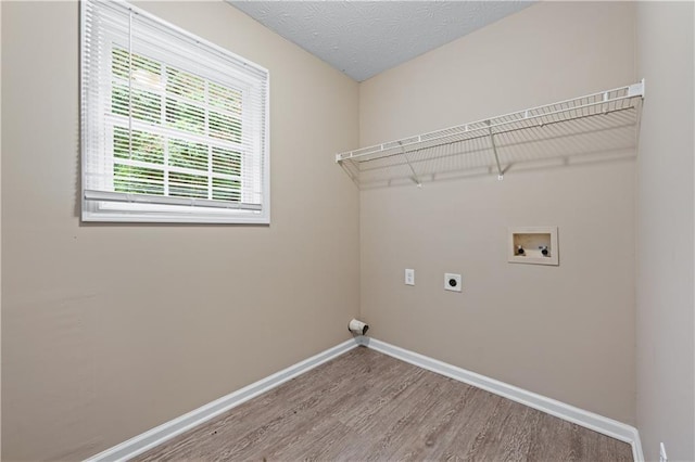 356 Chardonnay Trce, Braselton, GA 30517 - washroom featuring hookup for an electric dryer, washer hookup, and wood finished floors