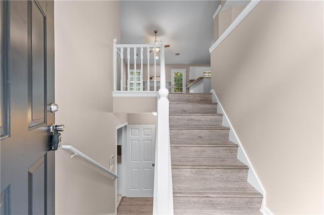 356 Chardonnay Trce, Braselton, GA 30517 - stairs with wood finished floors and baseboards