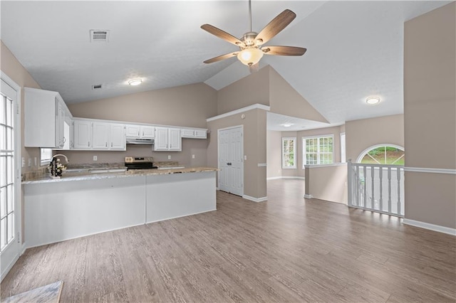 356 Chardonnay Trce, Braselton, GA 30517 - kitchen featuring electric range, under cabinet range hood, a peninsula, open floor plan, and a ceiling fan