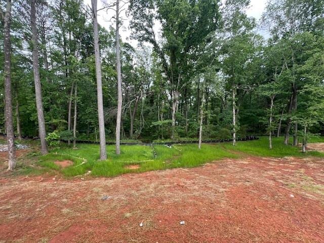 3435 Dr Bramblett Rd, Cumming, GA 30028 - view of local wilderness