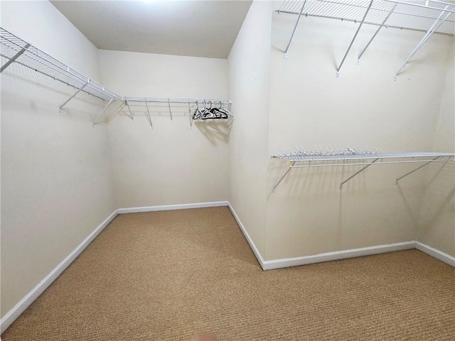 walk in closet featuring light carpet