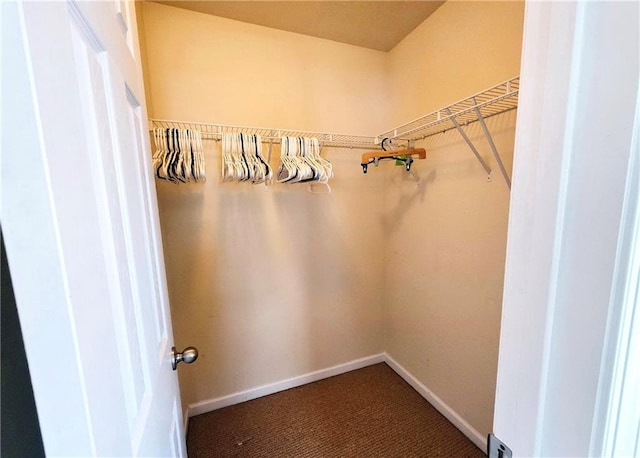 spacious closet with carpet flooring