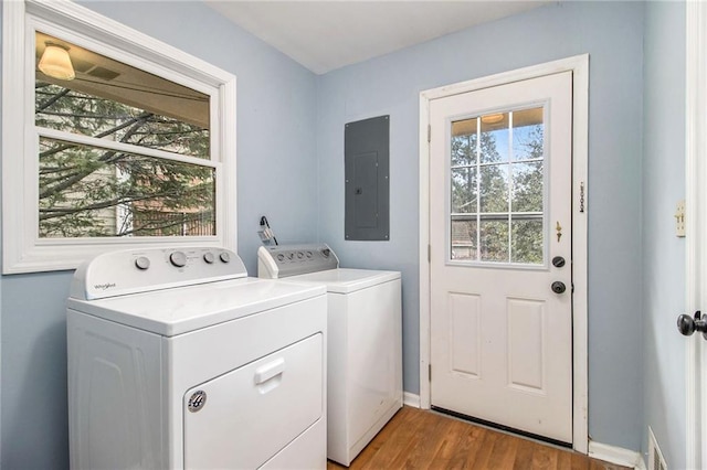 laundry room with hardwood / wood-style floors, electric panel, and separate washer and dryer