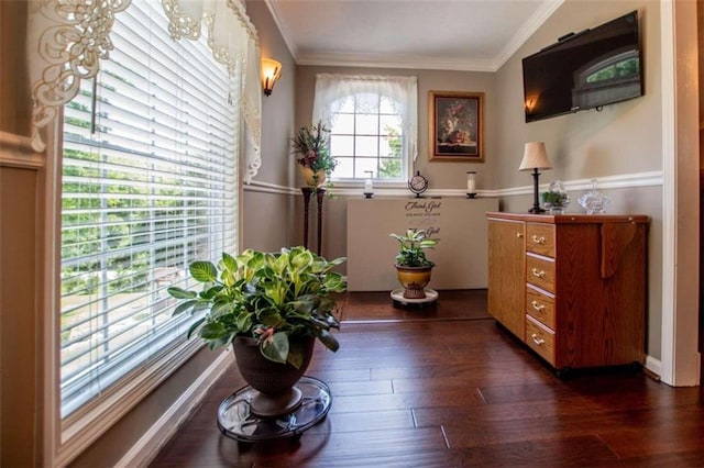 living area with dark hardwood / wood-style floors and ornamental molding