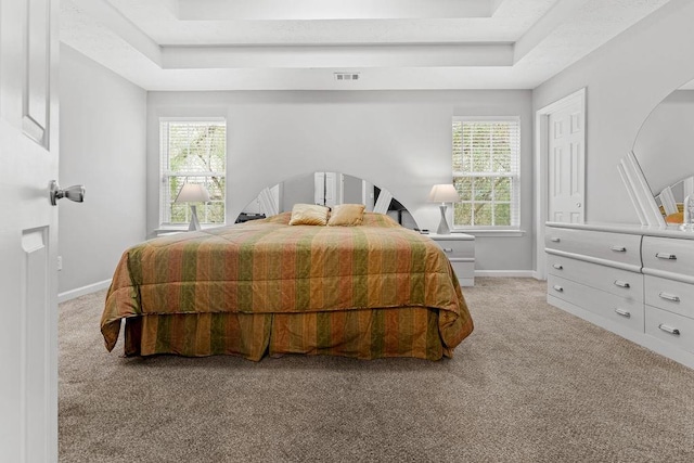 carpeted bedroom featuring a tray ceiling