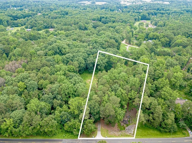 3329 Walt Stephens Rd, Stockbridge, GA 30281 - aerial view of property's location featuring a heavily wooded area and property boundaries highlighted
