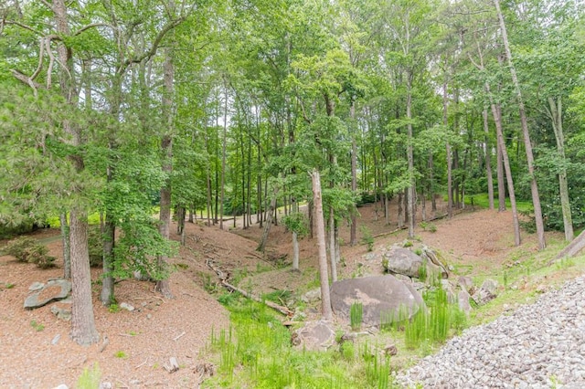 3329 Walt Stephens Rd, Stockbridge, GA 30281 - view of undeveloped land